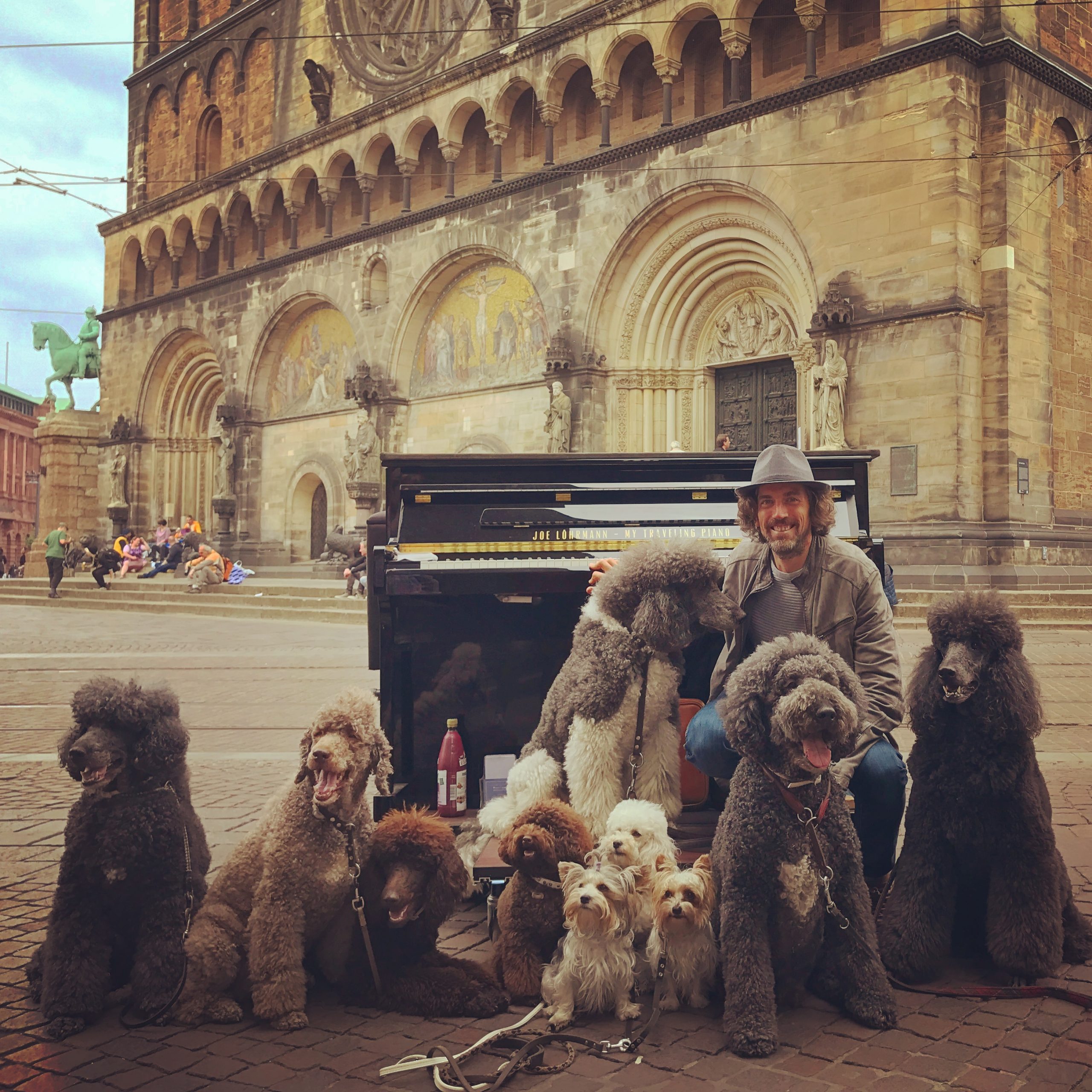 Hunde my traveling piano Xperience Festival